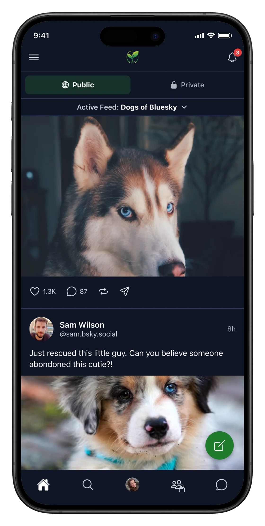 La app de Rhize en un iPhone mostrando el feed público con una publicación de Sam Wilson sobre un husky rescatado de Dogs of Bluesky.