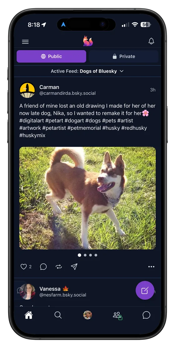 Denazen's public feed, with the Public and Private tabs visible at the top of the screen.